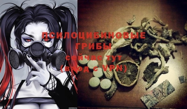 винт Болотное