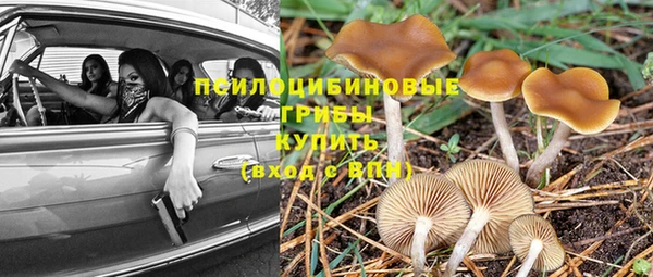 MESCALINE Болохово