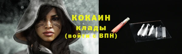 винт Болотное