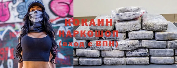 винт Болотное