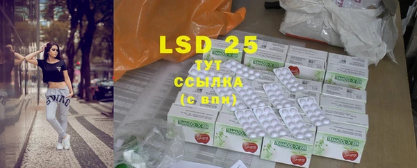 винт Болотное
