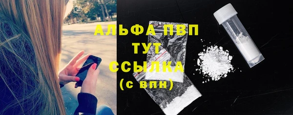 винт Болотное
