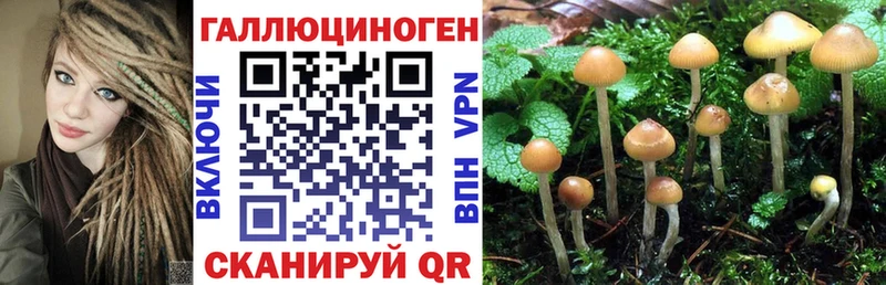 Псилоцибиновые грибы GOLDEN TEACHER  mega ТОР  Кизляр  как найти закладки 