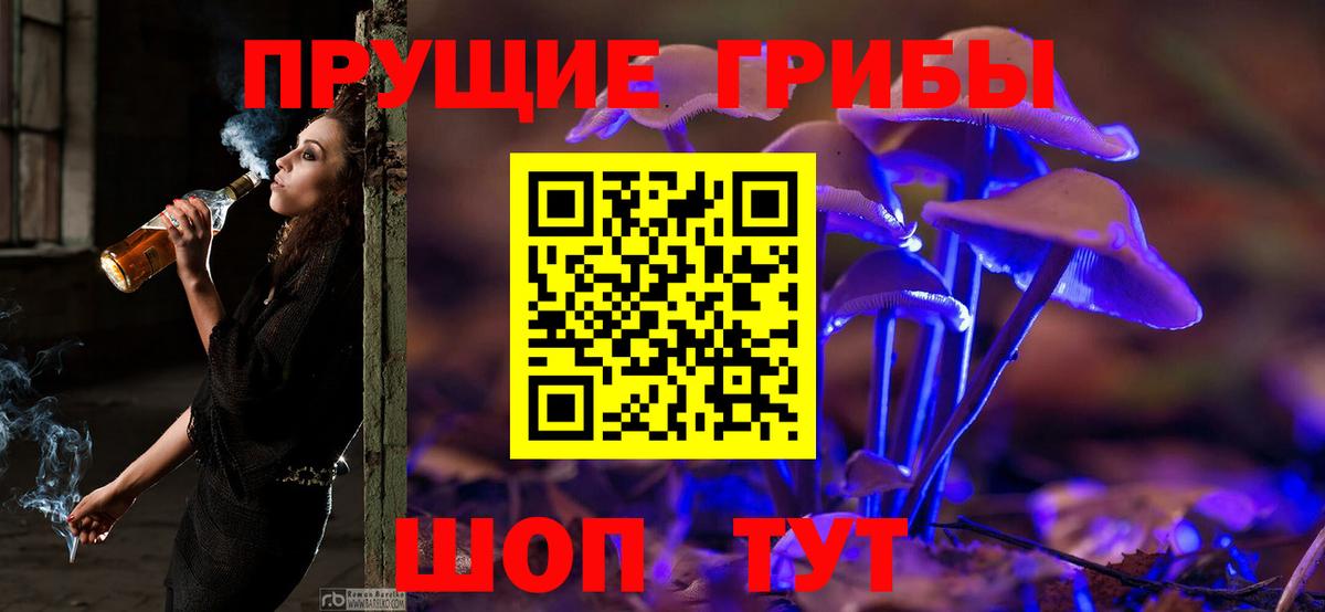 Галлюциногенные грибы прущие грибы  Кизляр  Галлюциногенные грибы прущие грибы 