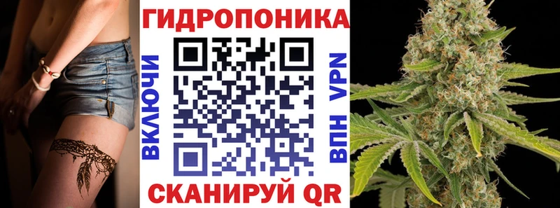 как найти   Кизляр  Марихуана гибрид 